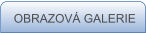 OBRAZOV� GALERIE