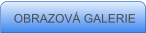 OBRAZOV� GALERIE