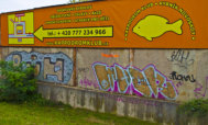 writer olomouc